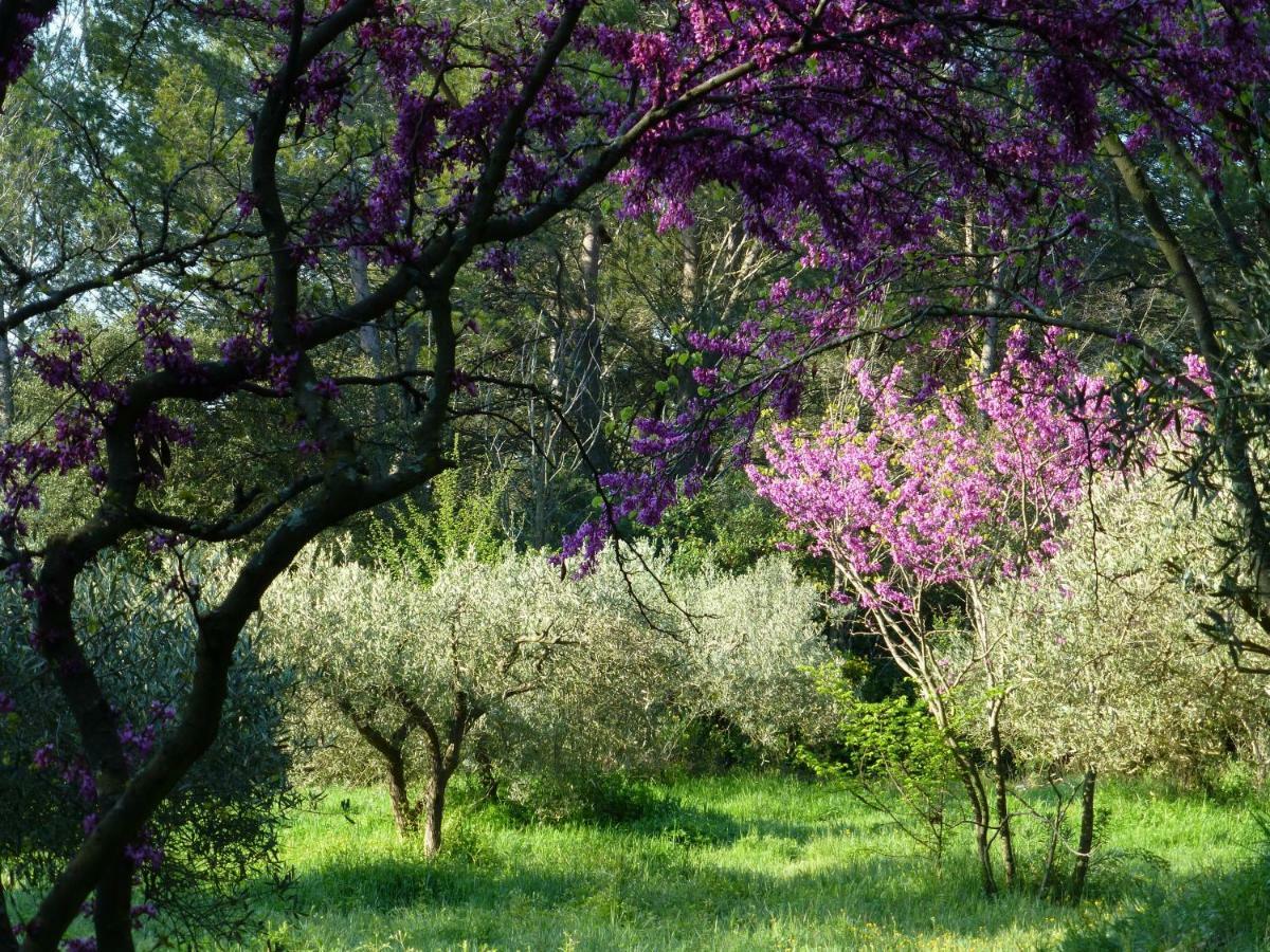 L'Enclos Du Micocoulier Villa Boissières Buitenkant foto